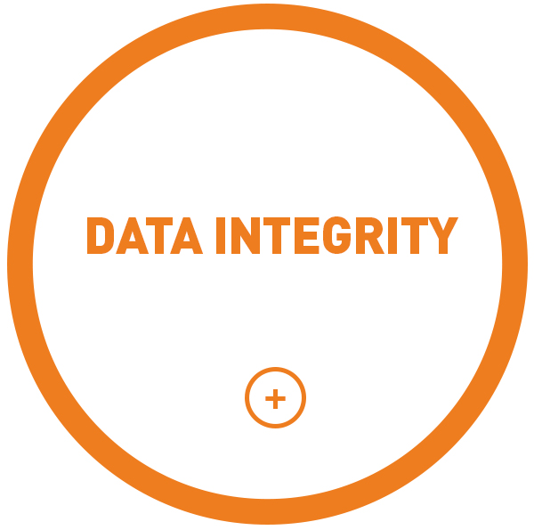 Data Integrity