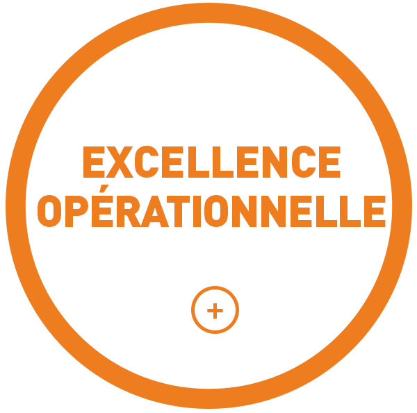 Excellence Opérationnelle excellence-operationnelle formation audit conseil pharmaceutique
