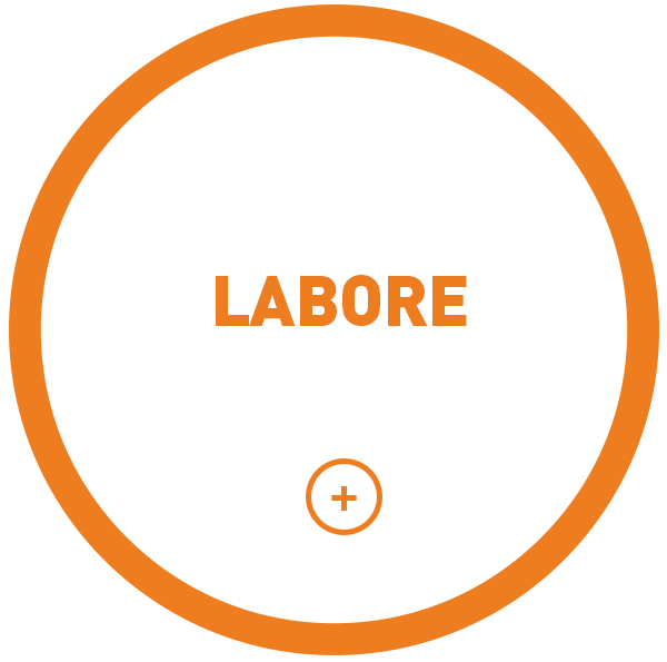 Labore