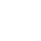 icone-audit